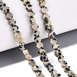 Natural Dalmatian Jasper Beads Strands, Hexagon, 3.5~4x4~4.5x2~3.5mm, Hole: 0.5~0.6mm, about 95~104pcs/strand, 15.16~15.94 inch(38.5~40.5cm)(GG-N002-02A-02)