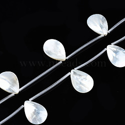 Natural Freshwater Shell Beads Strands, Top Drilled Beads, Teardrop, 24~25x18~19x2~4mm, Hole: 0.9mm, about 10pcs/strand, 15.75 inch~17.12inch(40~43.5cm)(SHEL-N026-153B-01)