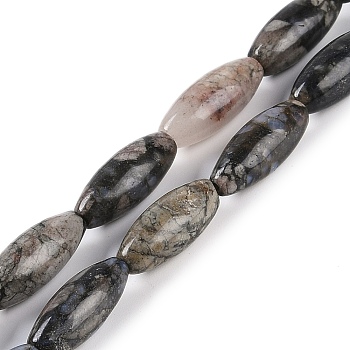 Natural Glaucophane Beads Strands, Oval, 20x8mm, Hole: 1mm, about 20pcs/strand, 15.75 inch(40cm)