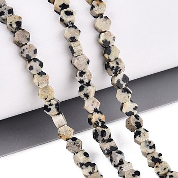 Natural Dalmatian Jasper Beads Strands, Hexagon, 3.5~4x4~4.5x2~3.5mm, Hole: 0.5~0.6mm, about 95~104pcs/strand, 15.16~15.94 inch(38.5~40.5cm)