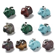 Natural & Synthetic Mixed Gemstone Pendants, Bear Charms with Platinum Plated Metal Snap on Bails, Mixed Dyed and Undyed, 15.5~17x23~24x9.5~10mm, Hole: 3x5.5mm(G-B068-10P)