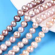 Natural Cultured Freshwater Pearl Beads Strands, Potato, Plum, 7~8.5mm, Hole: 0.6mm, about 46~47pcs/strand, 13.98~14.37 inch(35.5~36.5cm)(PEAR-N013-07M)