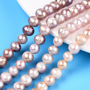 Natural Cultured Freshwater Pearl Beads Strands, Potato, Plum, 7~8.5mm, Hole: 0.6mm, about 46~47pcs/strand, 13.98~14.37 inch(35.5~36.5cm)