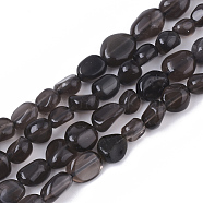Natural Obsidian Beads Strands, Nuggets, Tumbled Stone, 5~11x5~8x3~6mm, Hole: 0.8mm, about: 52~56pcs/Strand, 15.94 inch(40.5cm)(G-S363-038A)