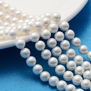 Polished Shell Pearl Round Beads Strands, Nice for Mother's Day Necklace Making, Grade A, White, 6mm, Hole: 0.5mm, about 61pcs/strand(X-SP6MM701)
