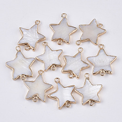 Freshwater Shell Links connectors, with Edge Golden Plated Iron Loops, Star, Seashell Color, 22~23x18~19x3mm, Hole: 1.8mm(SHEL-S277-003)