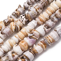 Natural Shell Beads Strands, Nuggets, Tan, 6~8x6~8x4~9mm, Hole: 1~2mm, about 91~110pcs/strand, 16.22''~16.69''(41.2~42.4cm)(SH-CBA2978-03)