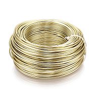 Round Anodized Aluminum Wire, Bendable Metal Craft Wire, for DIY Jewelry Craft Making, Light Gold, 10 Gauge, 2.5mm, 35m/500g(114.8 Feet/500g)(AW-S001-2.5mm-27)