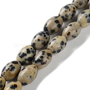 Natural Dalmatian Jasper Beads Strands, Rice, Rice, 9x6mm, Hole: 1mm, about 44pcs/strand, 15.94 inch(40.5cm)(G-I369-B03-01)