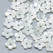 Natural White Shell Beads, Mother of Pearl Shell Beads, Flower, Seashell Color, 5.5x6x2mm, Hole: 1mm(SSHEL-S260-053)