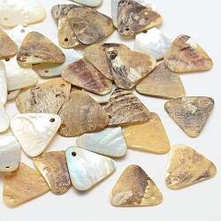 Triangle Natural Akoya Shell Charms, Mother of Pearl Shell Pendants, Wheat, 14x15x1mm, Hole: 1mm; about 720pcs/bag(SHEL-N031-08)