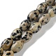 Natural Dalmatian Jasper Beads Strands(G-I369-B03-01)-1