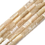 Natural Trochid Shell/Trochus Shell Beads Strands, Bamboo Stick, Wheat, 9.5~10.5x5~5.5mm, Hole: 0.5~0.6mm, about 38~39pcs/strand, 15.08~15.43''(38.3~39.2cm)(SHEL-A006-06B)