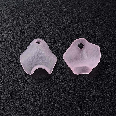 perles acryliques transparents(X-MACR-S373-106-D05)-3