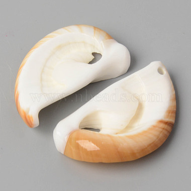Natural Cowrie Shell Pendants(SSHEL-N032-06)-4