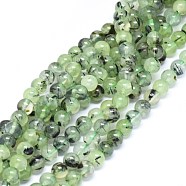 Natural Prehnite Beads Strands, Round, 5~6mm, Hole: 0.4mm, about 70pcs/strand, 15.5 inch~16 inch(39.37~40.64cm)(G-F602-01-6mm)