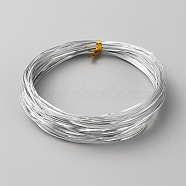 Aluminum Wire, Flat, for Crafts Jewelry Making, Silver, 1x0.3mm, about 65.62 Feet(20m)/Roll(AW-WH0007-02B)