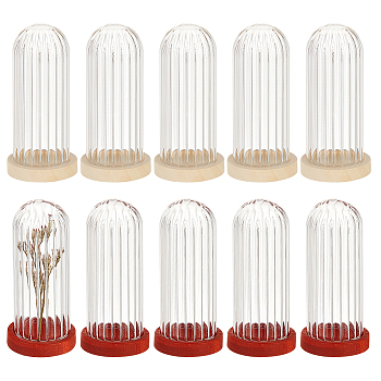 Nbeads 10Pcs Mini Glass Cloche Dome Covers, Cloche Bell Jar Covers, with 10Pcs 2 Colors Flat Round Natural Wood Cabochon Settings, Mixed Color, Cover: 50~51x20mm, Inner Diameter: 15.5mm