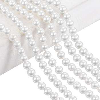 2 Strands Natural White Shell Beads Strands, Round, White, 4mm, Hole: 0.2mm, about 112pcs/strand, 16.42 inch(41.7cm)