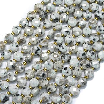 Natural Sesame Jasper Beads Strands, with Seed Beads, Faceted, Flat Round, 6~6.5x4mm, Hole: 1mm, about 50pcs/strand, 15.35 inch(39cm)