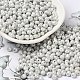 6/0 Glass Seed Beads(SEED-M012-01A-14)-1