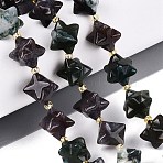 Natural Indian Agate Beads Strands, Star, with Seed Beads, 12~15.5x11~13x11~13mm, Hole: 1~1.2mm, about 28~29pcs/strand, 16.14~17.32 inch(41~44cm)(G-Q608-07A-05)