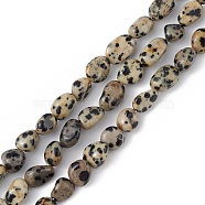 Natural Dalmatian Jasper Beads Strands, Chip, 5~11x4~7x4~7mm, Hole: 1mm, about 46~48pcs/strand, 15.35''(39cm)(X-G-B039-03A)