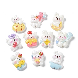 Opaque Resin Cabochons, Rabbit, Mixed Color, 21.5~22.5x16.5~19x8~8.5mm(X1-CRES-M026-14)