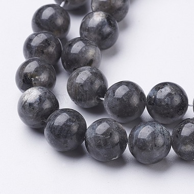 Natural Larvikite Beads Strands(GSR10mmC128)-2