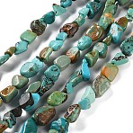 Natural Hubei Turquoise Beads Strands, Nuggets, Tumbled Stone, 4.5~11.5x3~7x3.5~6mm, Hole: 1.2mm, about 48~68pcs/strand, 15.35~15.94''(39~40.5cm)(X-G-P497-01C-51)