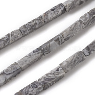 Natural Map Stone/Picasso Stone/Picasso Jasper Beads Strands, Cuboid, 13~14x4~4.5x4~4.5mm, Hole: 1.2mm, about 30pcs/strand, 16.5 inch(42cm)(G-G837-05)