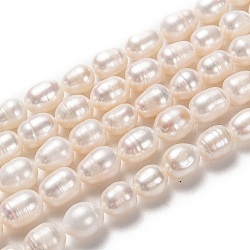Natural Cultured Freshwater Pearl Beads Strands, Rice, Bisque, 9~12x8~9mm, Hole: 0.8mm, about 35pcs/strand, 14.76 inch(37.5cm)(PEAR-L033-82-01)