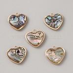 Brass Pave Paua Shell Charms, Light Gold, Heart, 14x14.5x3mm, Hole: 1.5mm(FIND-WH0427-70A-02LG)