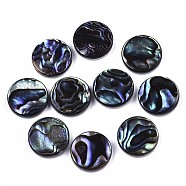 Natural Abalone Shell/Paua Shell Cabochons, with Freshwater Shell, Flat Round, Colorful, 12x3mm(SSHEL-N034-72A-01)