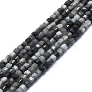 Natural Hawk's Eye Beads Strands, Eagle Eye Stone, Faceted, Cube, 2x2x2mm, Hole: 0.6mm, about 182pcs/strand, 15.16''~15.55''(38.5~39.5cm)(G-P457-B01-44)