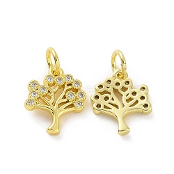 Brass Micro Pave Cubic Zirconia Charms, with Jump Ring, Tree, Real 18K Gold Plated, Clear, 12x10x2mm, Hole: 3.2mm(KK-E068-VF063)