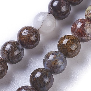 Natural Pietersite Beads Strands(G-P428-06-10mm)-2