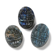 Natural Labradorite Cabochons, Owl, 43~46x32~33x10~12mm(G-I368-B10)