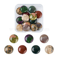 14Pcs 7 Styles Natural Mixed Stone Cabochons, Natural Ruby in Zoisite & Moss Agate & Unakite & Red Rainbow Jasper & Indian Agate & Picture Jasper & Leopard Skin Jasper, Half Round/Dome, 19.5~20x6~7mm, 2pcs/style(G-FW0001-38)