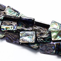 Natural Paua Shell Beads Strands, Rectangle, Colorful, 15x11x3mm, Hole: 1mm, about 29pcs/strand, 15.3 inch(SSHEL-J047-10B-01)