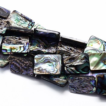 Natural Paua Shell Beads Strands, Rectangle, Colorful, 15x11x3mm, Hole: 1mm, about 29pcs/strand, 15.3 inch