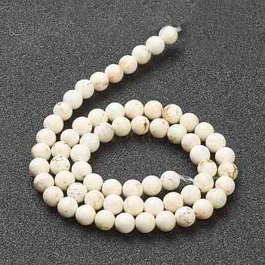 Nrtutal Magnesite Beads Strands(G-L575-01B)-3