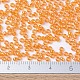 ミユキラウンドロカイユビーズ(SEED-G007-RR0253)-4