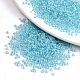 8/0 Glass Seed Beads(SEED-A016-3mm-215)-1