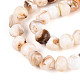 Natural Freshwater Shell Beads Strands(SHEL-T020-17)-3