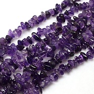 Natural Amethyst Chips Beads Strands, 8~14x4~8x3~6mm, Hole: 1mm, about 15~16 inch(G-P030-02)