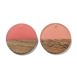 Resin & Walnut Wood Pendants, Geometric Charms, Flat Round, 28x3mm, Hole: 2mm(RESI-XCP0002-16K)