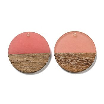 Resin & Walnut Wood Pendants, Geometric Charms, Flat Round, 28x3mm, Hole: 2mm