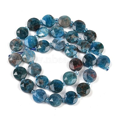 Natural Apatite Beads Strands(G-C116-A28-01)-4