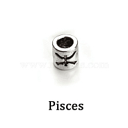 Antique Silver Plated Alloy European Beads, Large Hole Beads, Column with Twelve Constellations, Pisces, 7.5x7.5mm, Hole: 4mm, 60pcs/bag(ZODI-PW0001-080H)